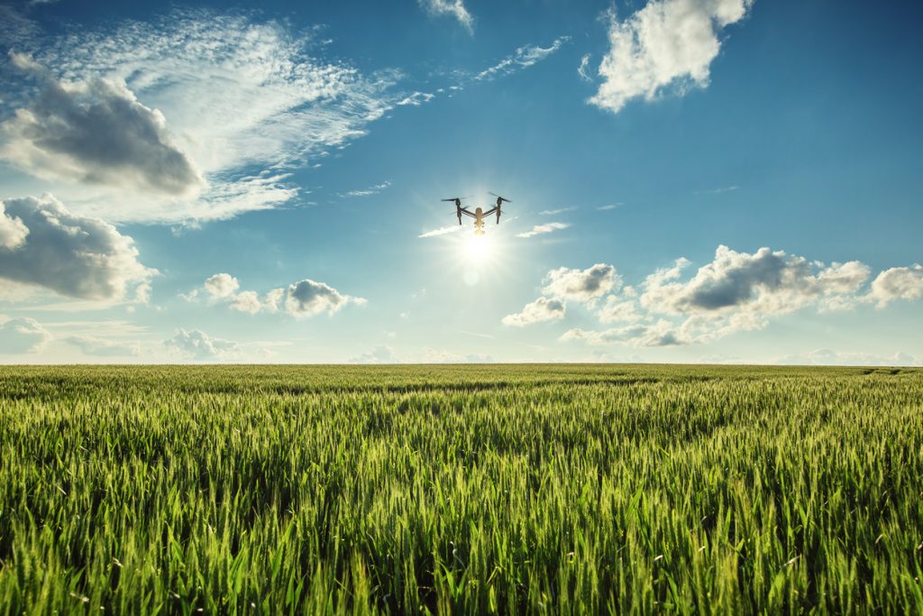 drone