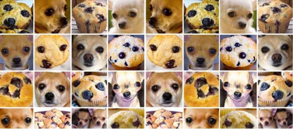 muffin